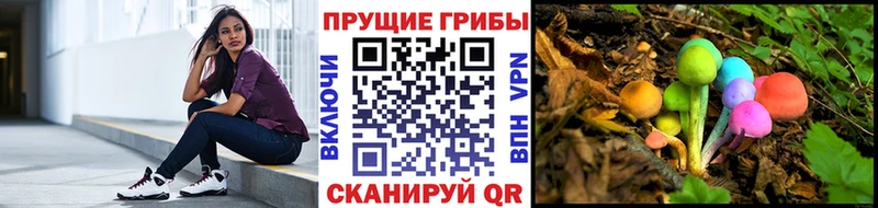 Галлюциногенные грибы мицелий Нижняя Салда